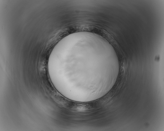 X0000114150663200911051444