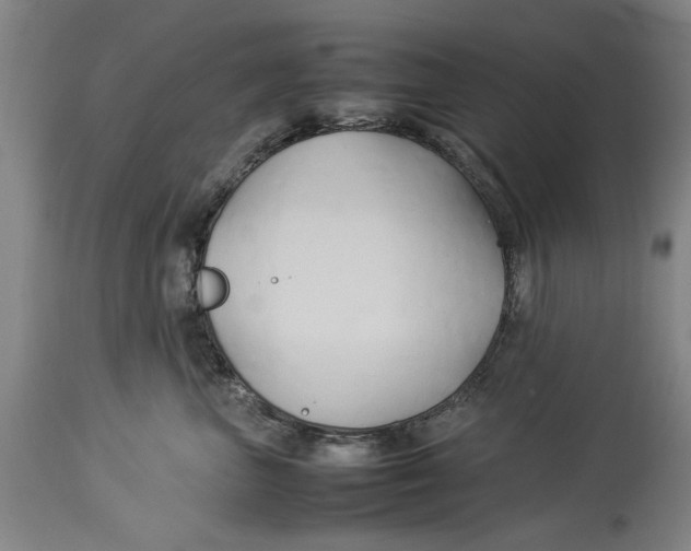 X0000114150667200911051444