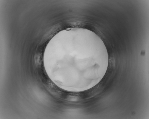X0000114150671200911051444