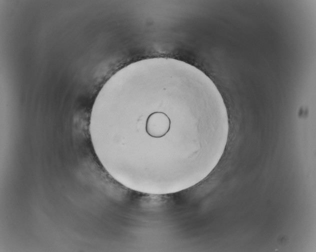 X0000114150672200911051444