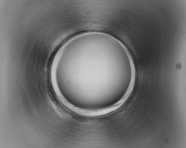 X0000114150674200911051443