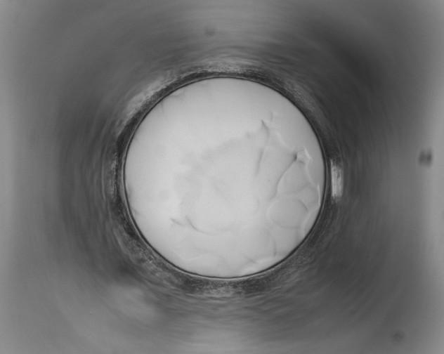 X0000114150675200911051443