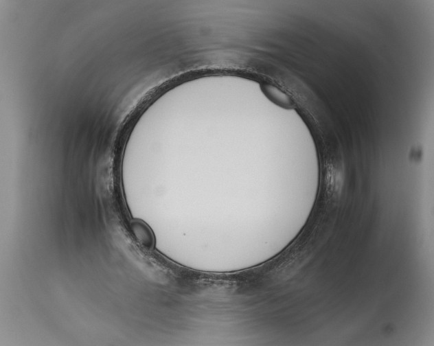 X0000114150676200911051443