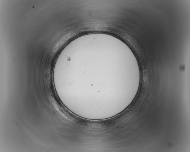 X0000114150677200911051443