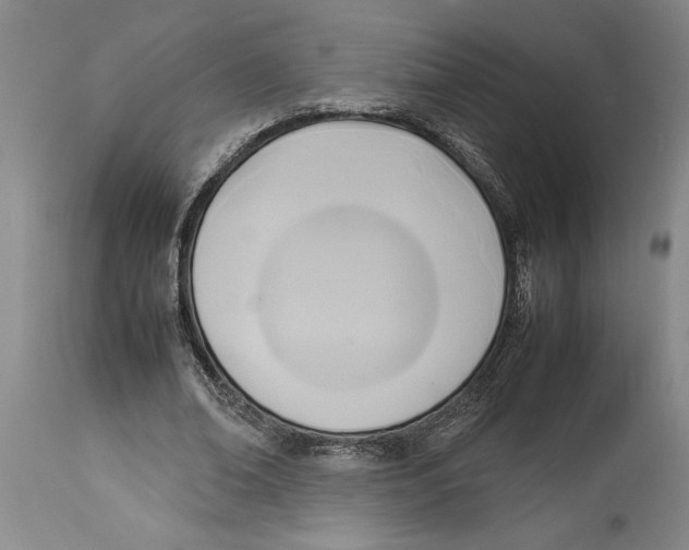 X0000114150678200911051443