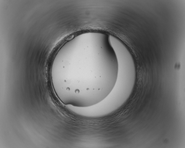 X0000114150680200911051443