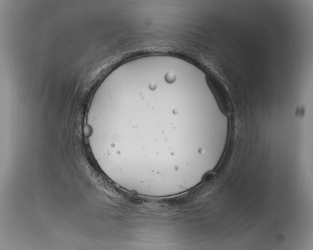 X0000114150681200911051443