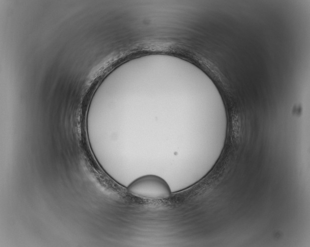 X0000114150682200911051443