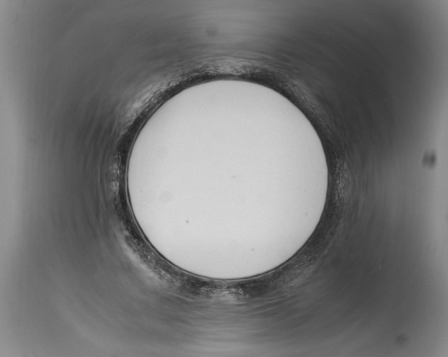 X0000114150683200911051443