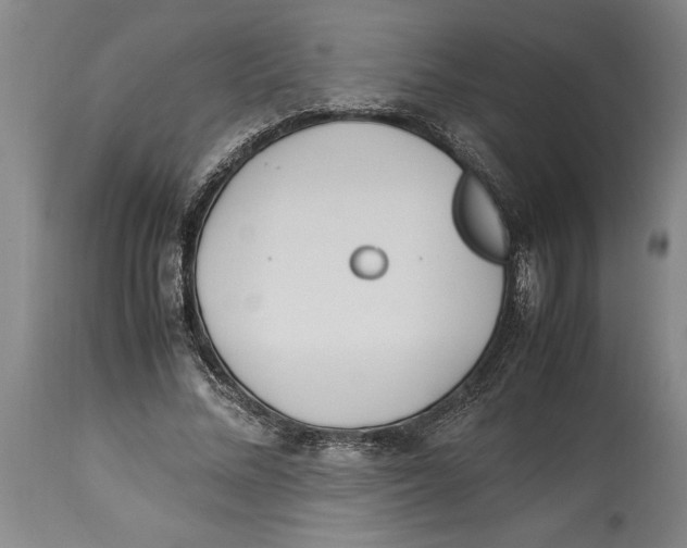X0000114150684200911051443