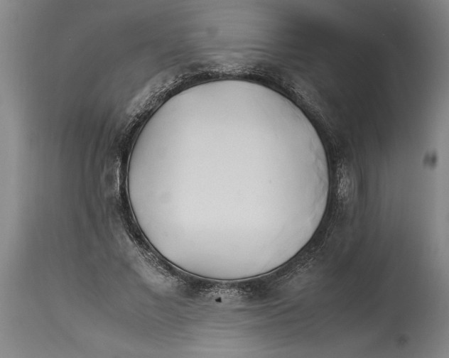 X0000114150685200911051443