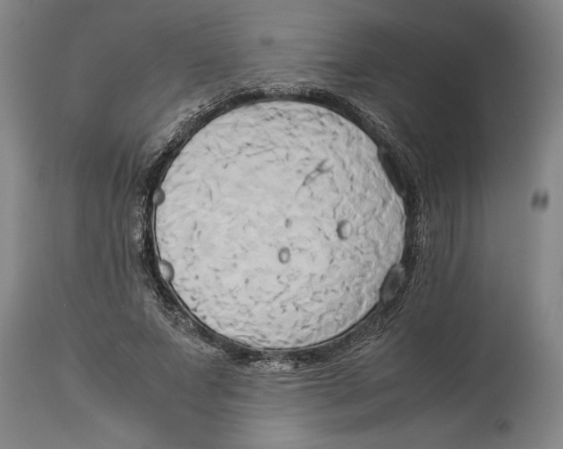 X0000114150687200911051443