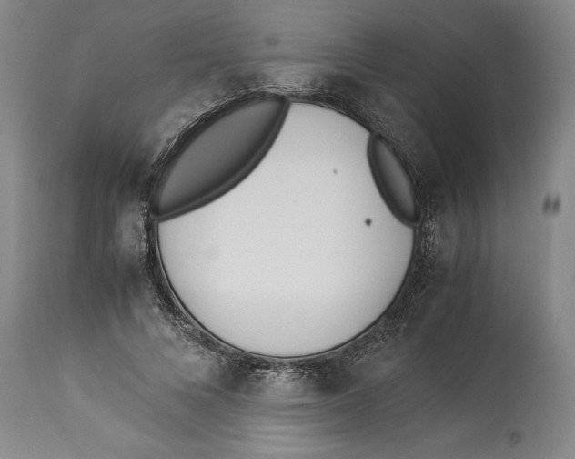 X0000114150688200911051443