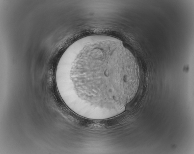 X0000114150691200911051443