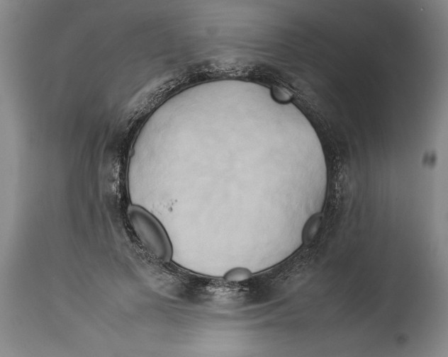 X0000114150693200911051443