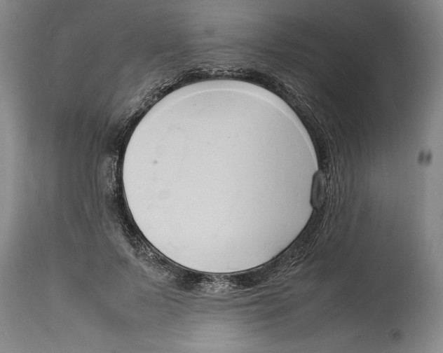 X0000114150695200911051443
