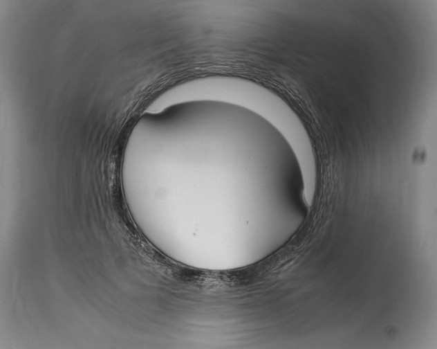 X0000114150697200911051443
