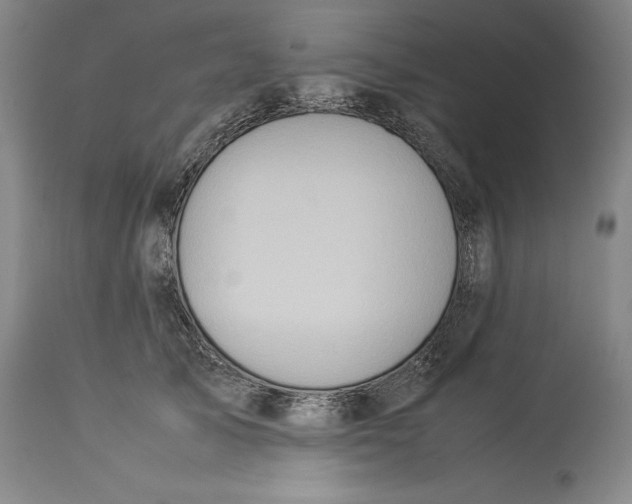 X0000114150705200911051443