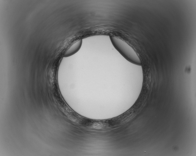 X0000114150708200911051443