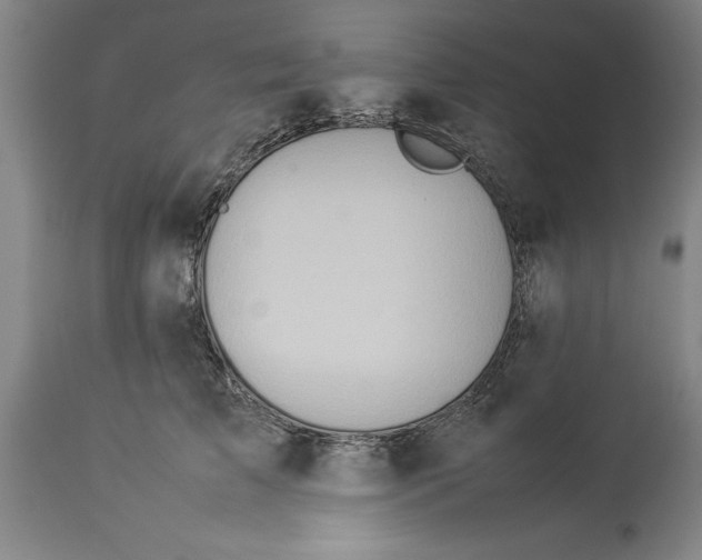 X0000114150709200911051443