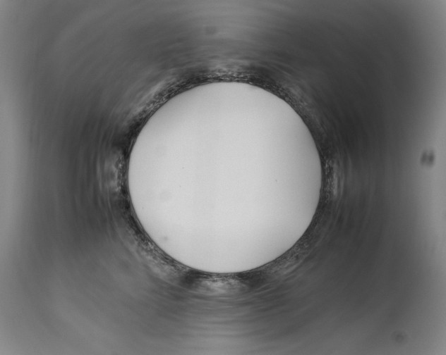 X0000114150712200911051442