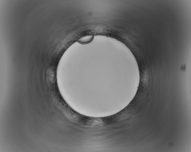 X0000114150715200911051442