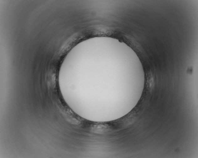 X0000114150716200911051442