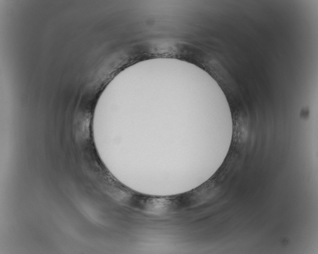 X0000114150717200911051442