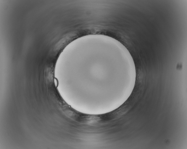 X0000114150719200911051442