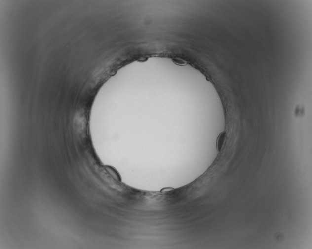 X0000114150720200911051442