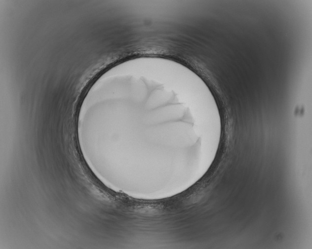 X0000114150721200911051442
