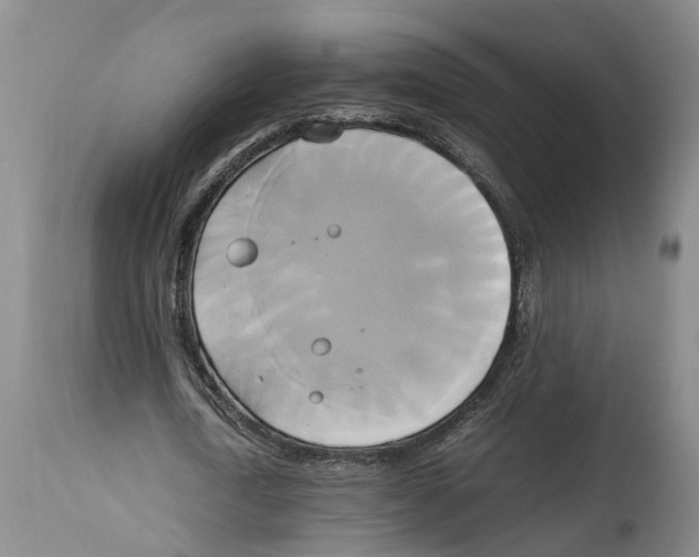 X0000114150722200911051442