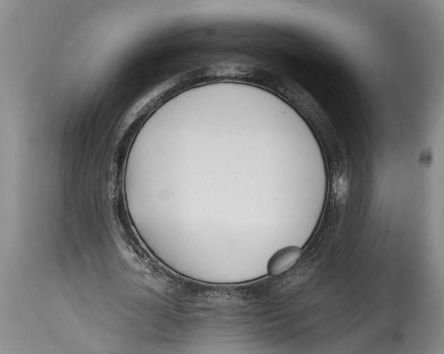 X0000114150724200911051442