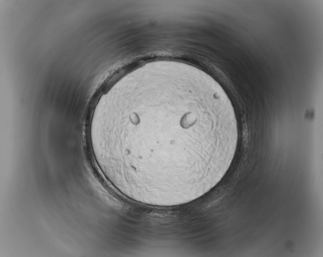 X0000114150725200911051442
