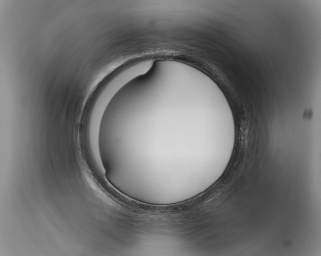 X0000114150726200911051442