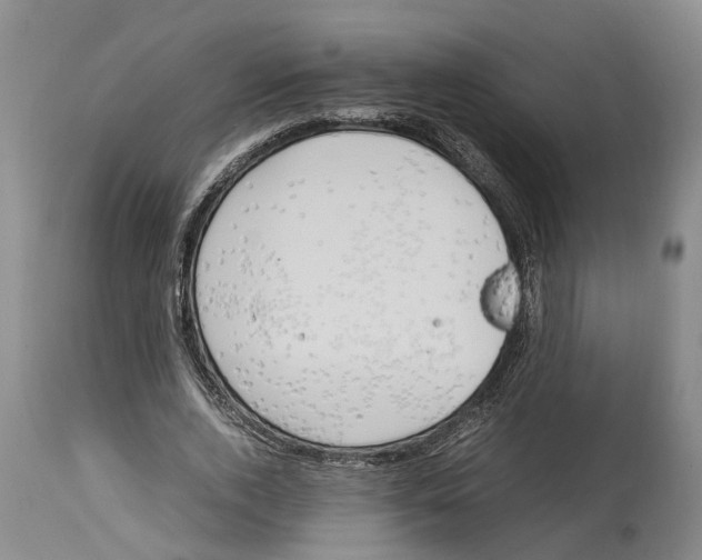 X0000114150728200911051442
