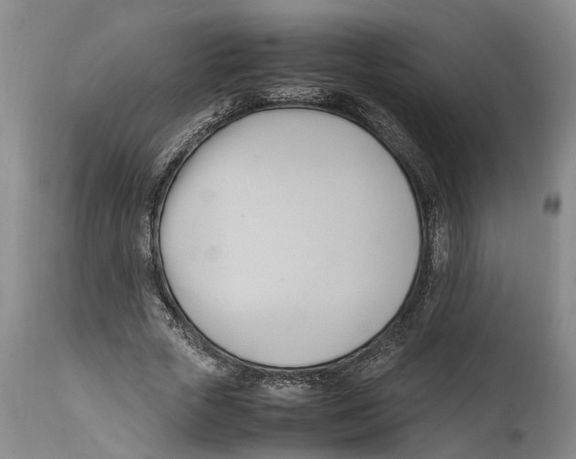 X0000114150729200911051442