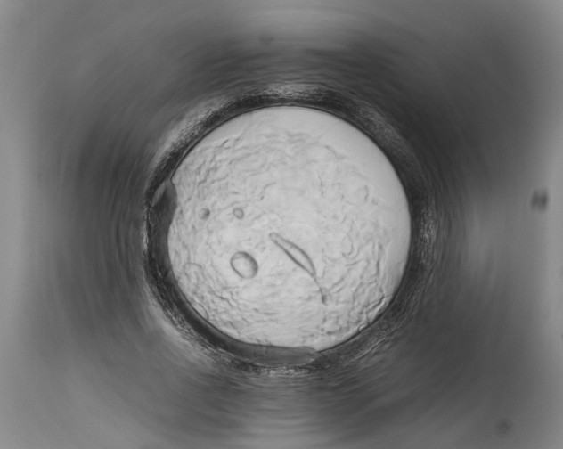 X0000114150734200911051442