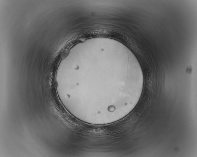 X0000114150735200911051442