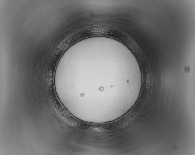 X0000114150737200911051442