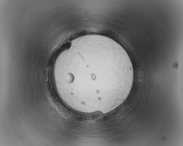 X0000114150738200911051442