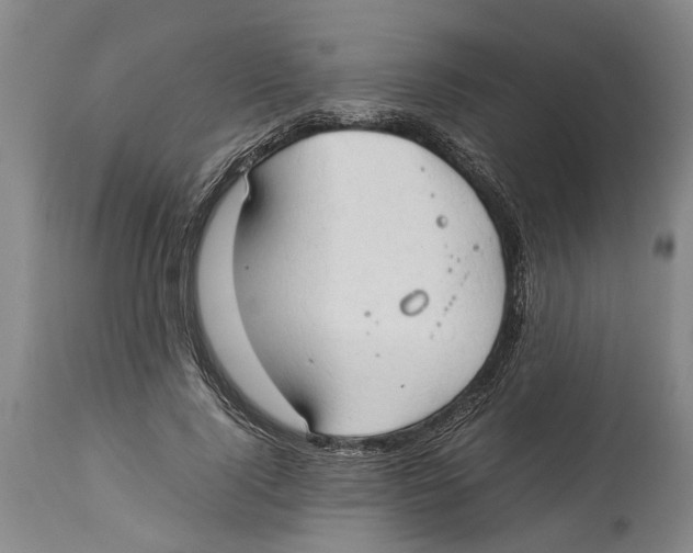 X0000114150740200911051442