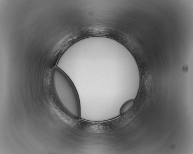 X0000114150744200911051442