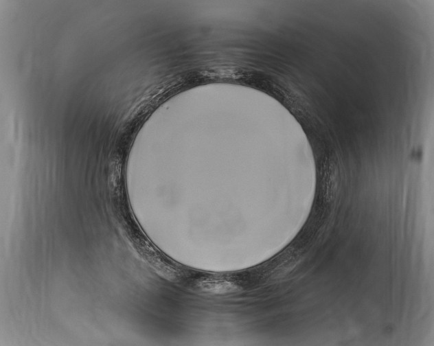 X0000114150747200911051442