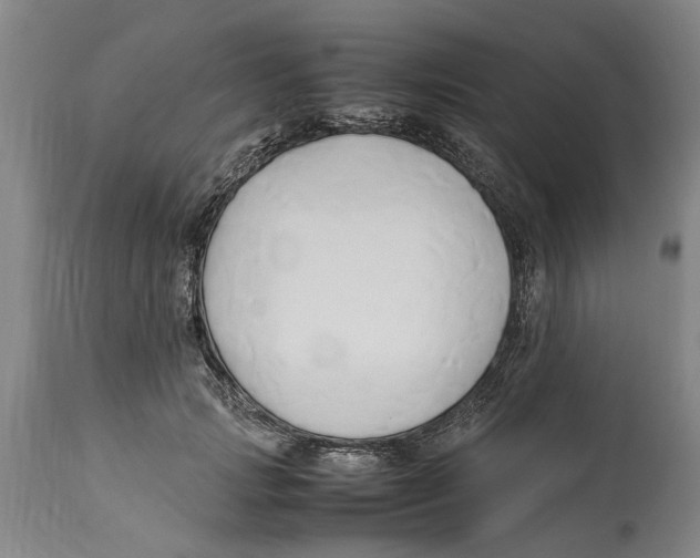 X0000114150749200911051442