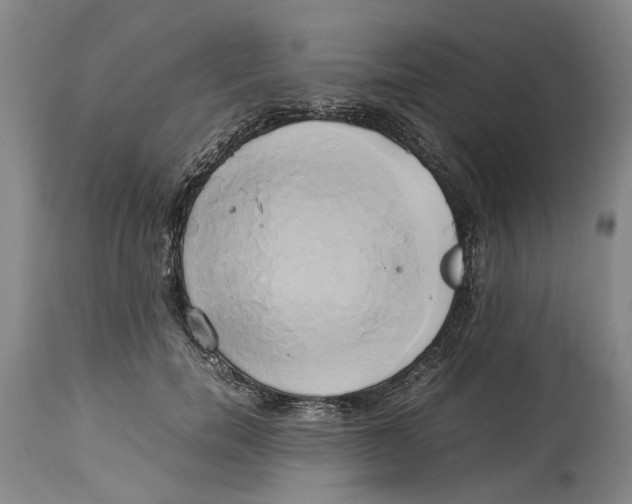 X0000114150750200911051442