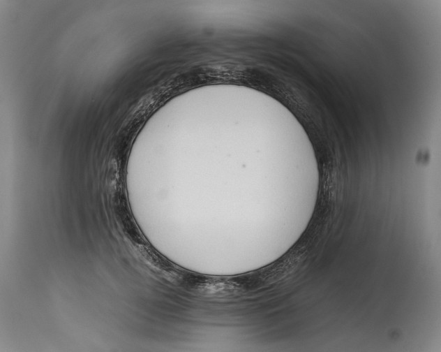 X0000114150752200911051442
