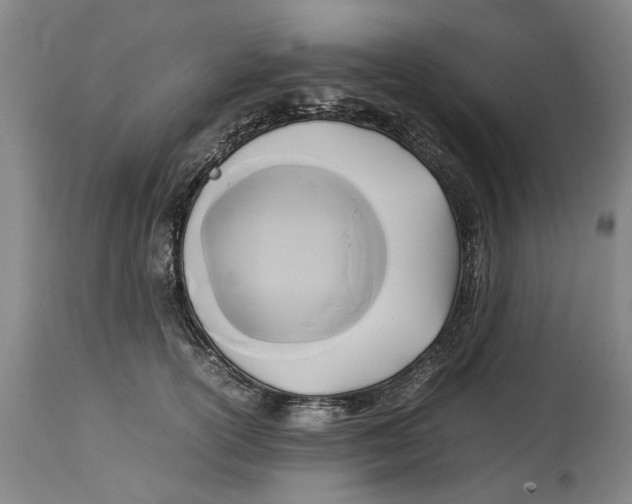 X0000114150754200911051442