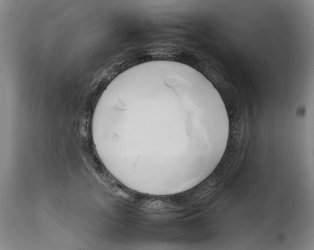 X0000114150755200911051442