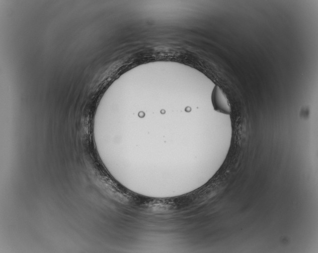 X0000114150756200911051442